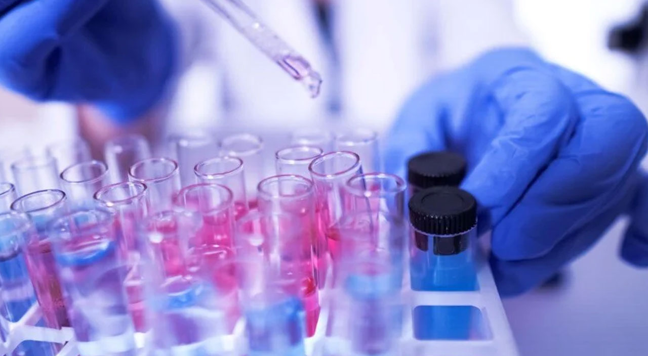 Bilim adamlarından korkutan uyarı: Bir sonraki salgını fareler yayacak