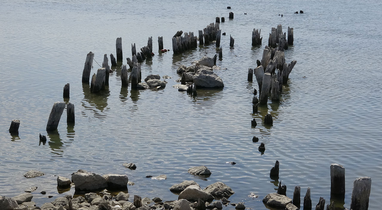 Kuraklık Van Gölü’nüde vurdu! Yüz yıllık iskele ortaya çıktı