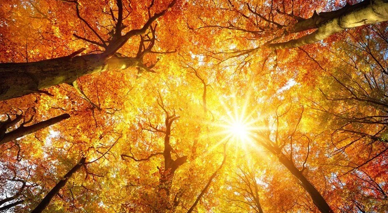 Yüzde 200 arttı! Aşırı sıcaklıklar hızla büyüyen şehirleri ölümle tehdit ediyor