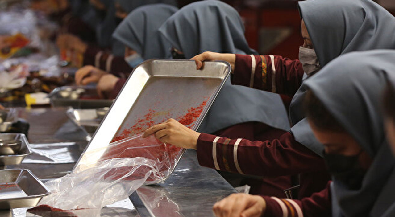 Kuraklık safranı da vurdu! Fiyatlar yüzde 250 arttı