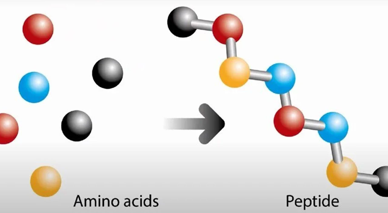 Bilim adamları akrep zehrini incelemeye başladı: Koronavirüse karşı koruyabilir
