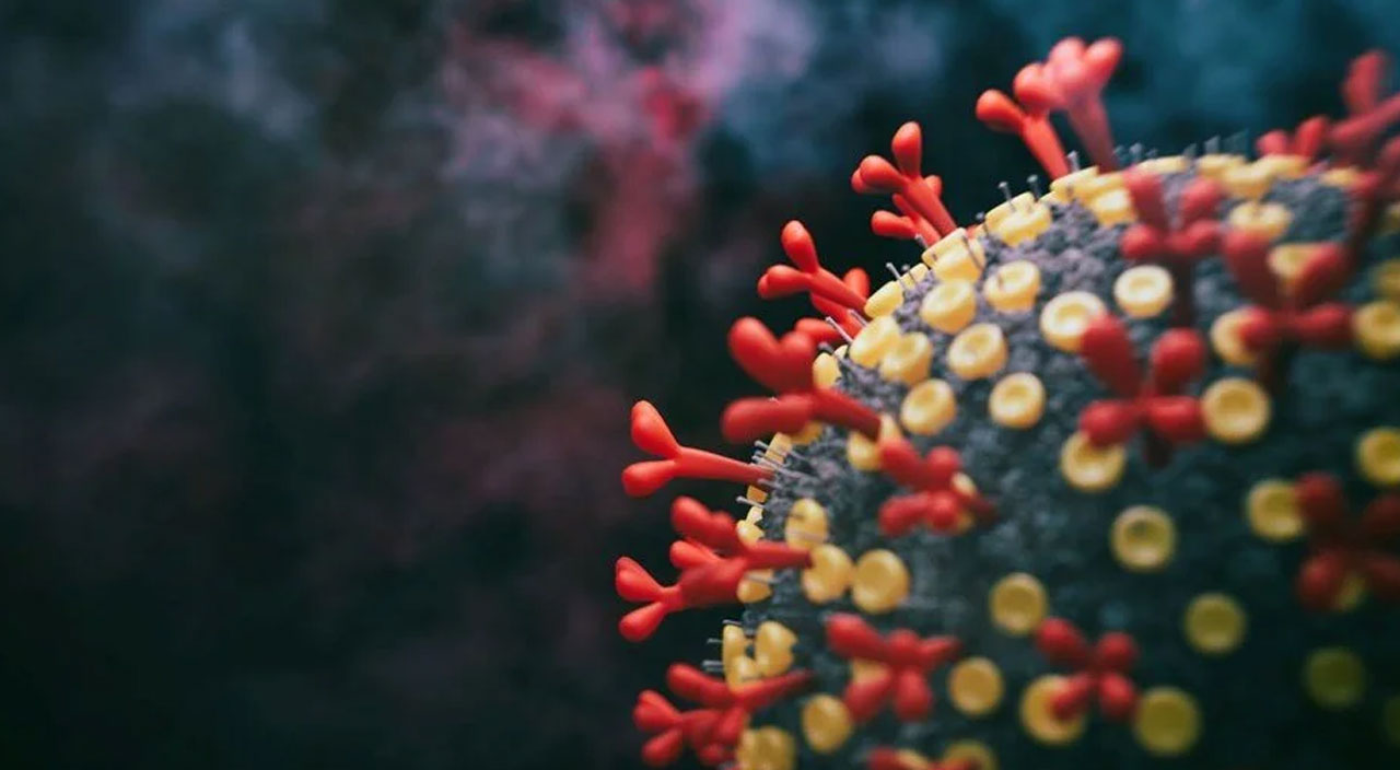 Dünya Sağlık Örgütü özel olarak toplanıyor: Görünen en kötü varyant