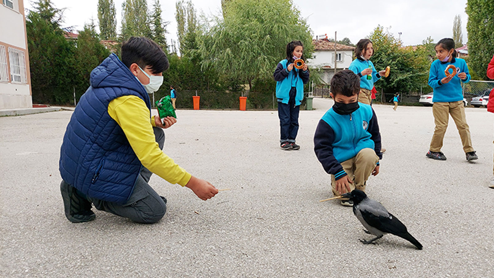 Küçük çocuk iyileştirdiği kargayla dost oldu