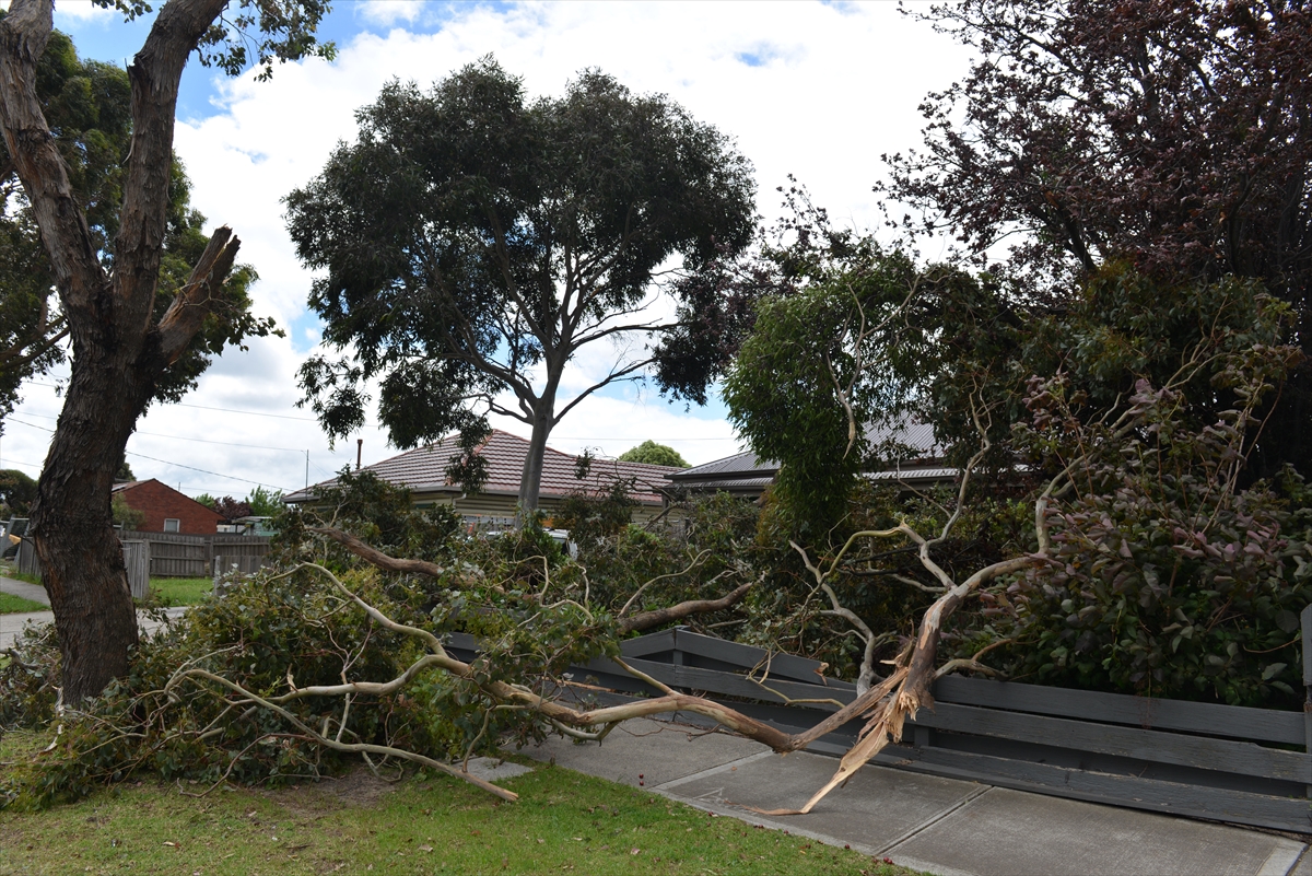 Avustralya’da şiddetli rüzgar nedeniyle binlerce ev elektriksiz kaldı