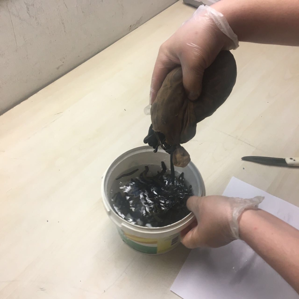 Atatürk Havalimanında ele geçirildi: Tam 83 kilo!