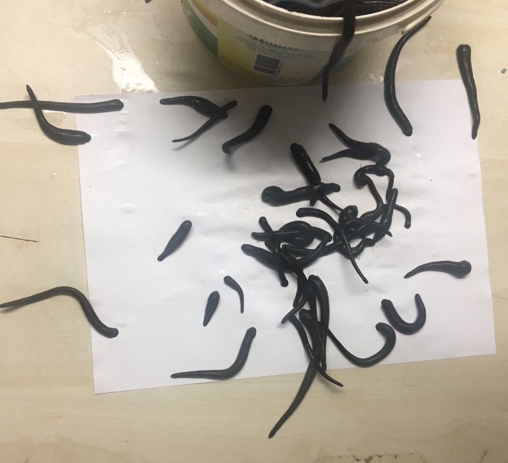 Atatürk Havalimanında ele geçirildi: Tam 83 kilo!