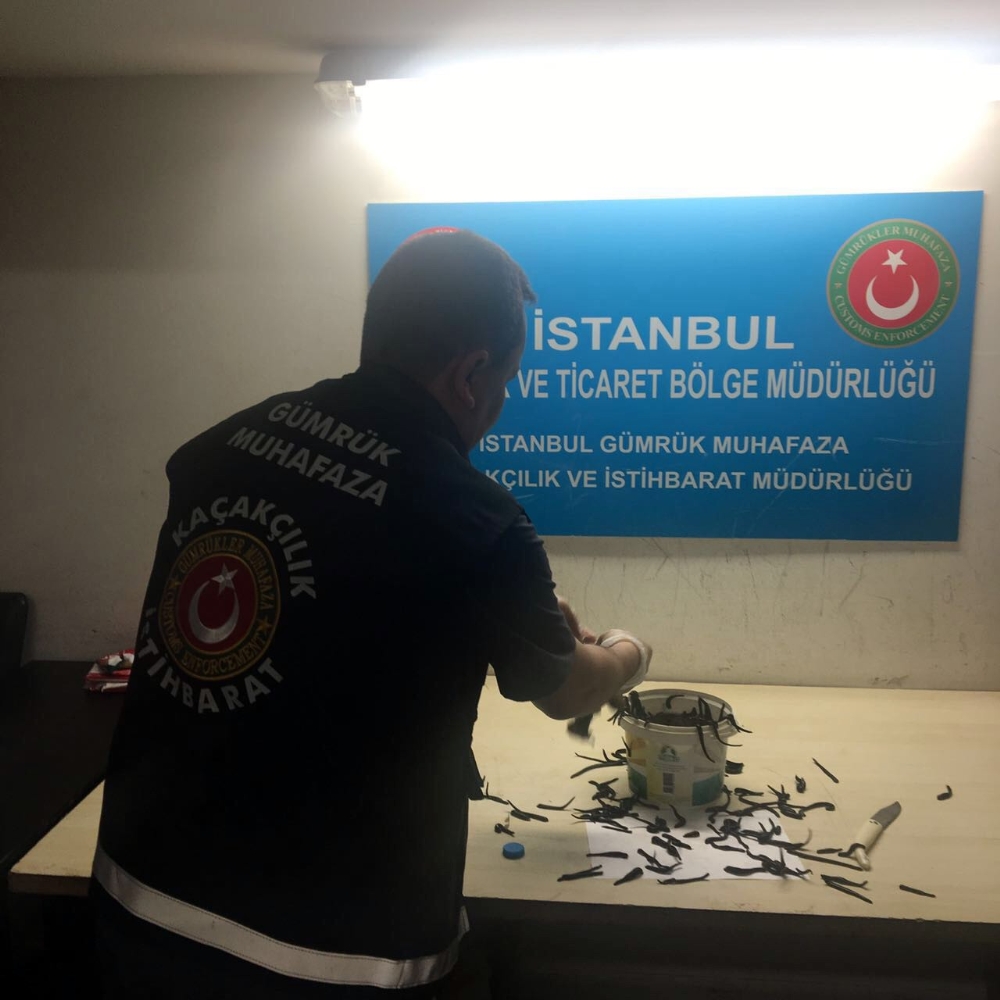 Atatürk Havalimanında ele geçirildi: Tam 83 kilo!