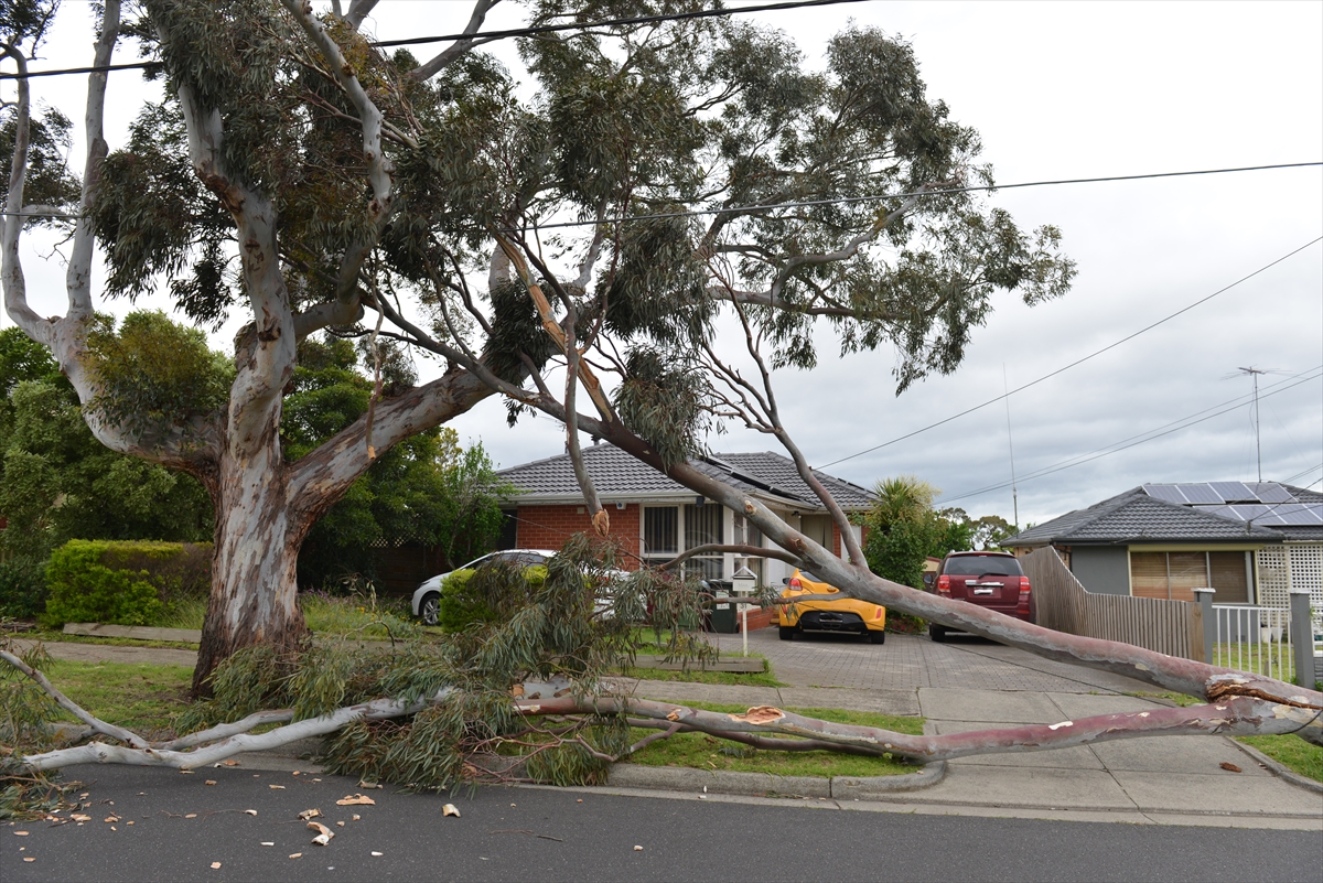 Avustralya’da şiddetli rüzgar nedeniyle binlerce ev elektriksiz kaldı
