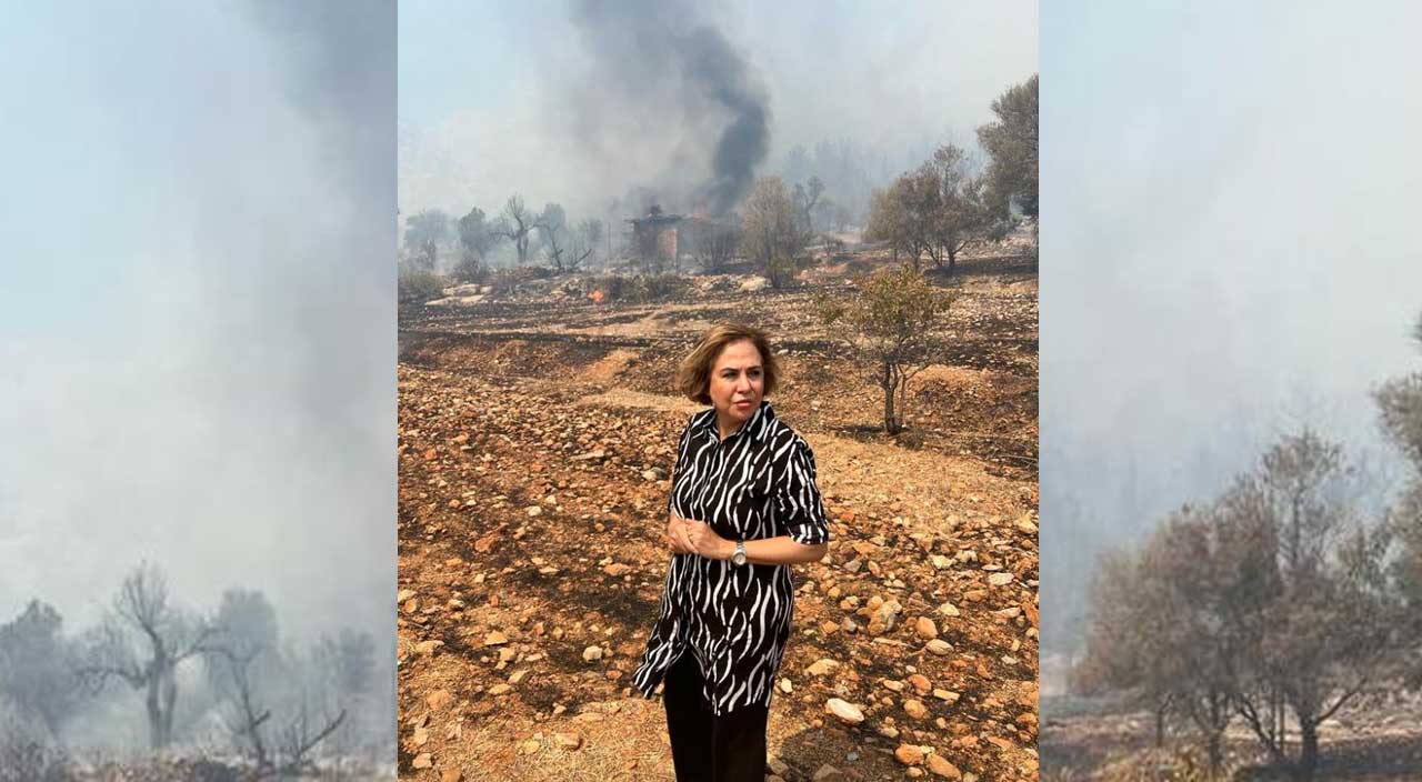 Mersin'de orman yangını! Müdahale sürüyor: 110 ev tahliye edildi Mersin'de orman yangını! Müdahale sürüyor: 110 ev tahliye edildi