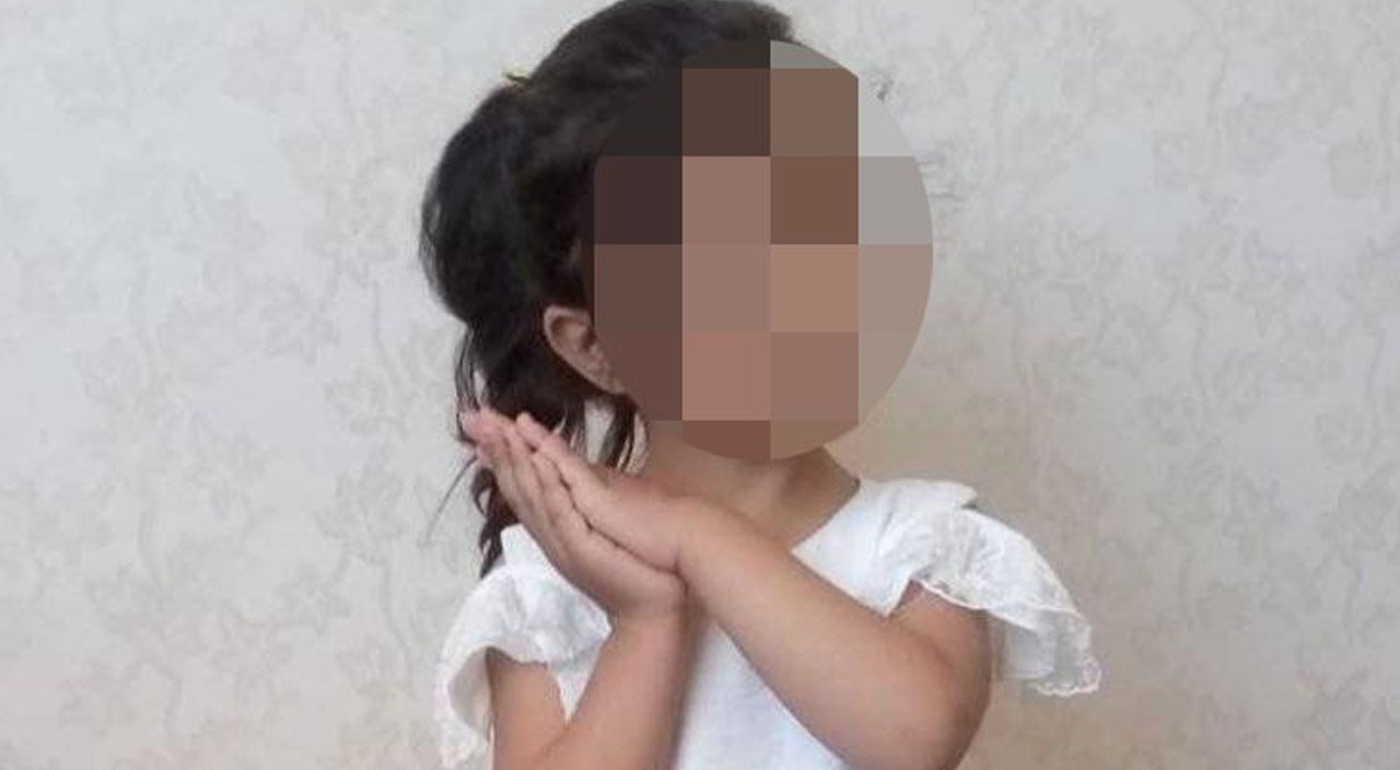 Pitbulların sahibi kamera kayıtlarını silmiş