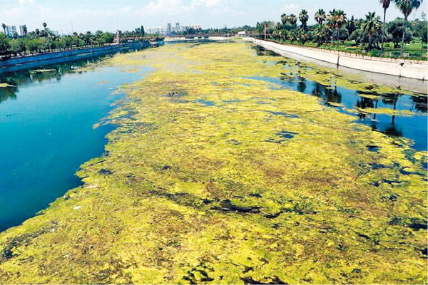 90’lı yıllara dönüş