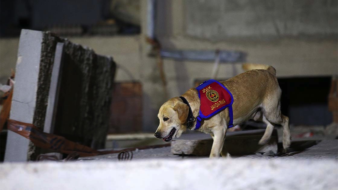 AFAD'dan deprem anı tatbikatı AFAD'dan deprem anı tatbikatı