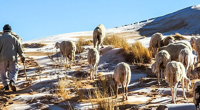 Sahra Çölü'ne kar yağdı