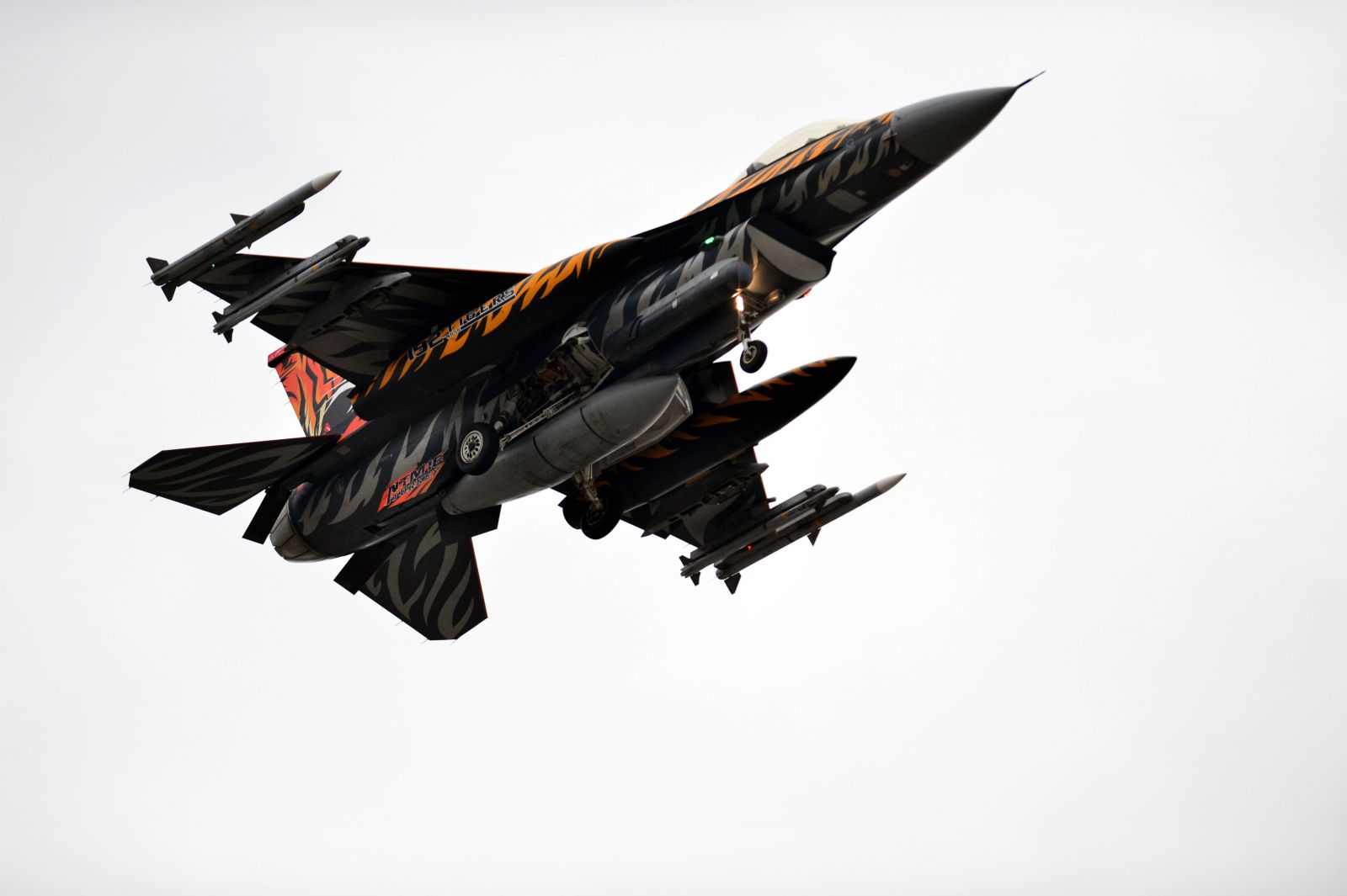 İncirlik'ten kaplan simgeli uçak havalandı