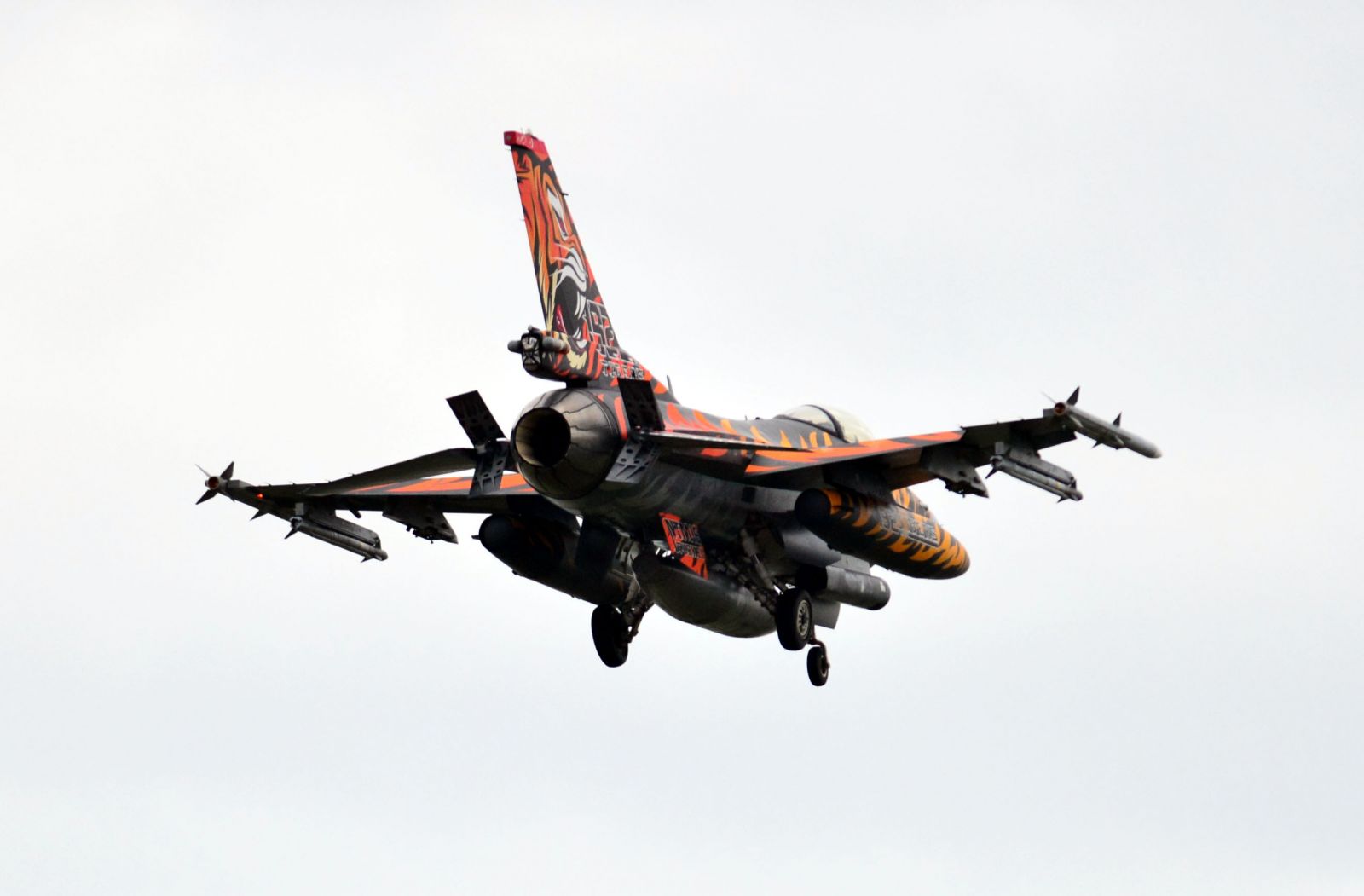 İncirlik'ten kaplan simgeli uçak havalandı