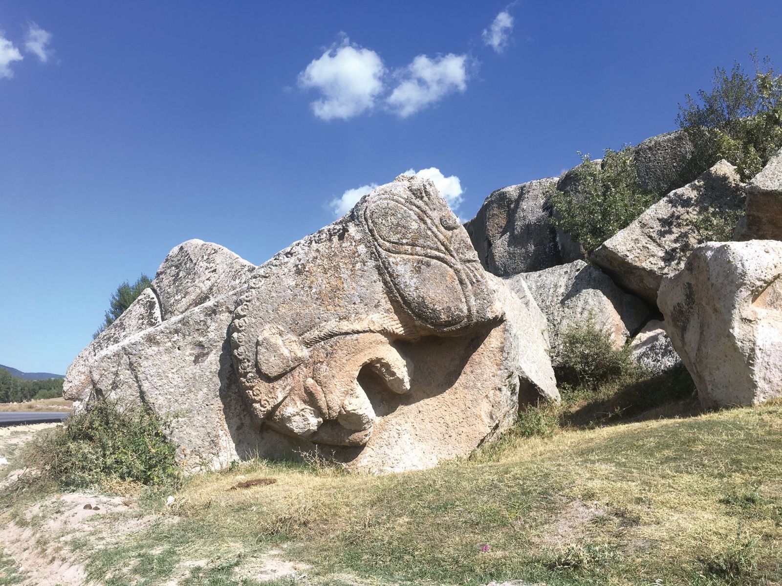 A.Ş.K. seni çağırıyor