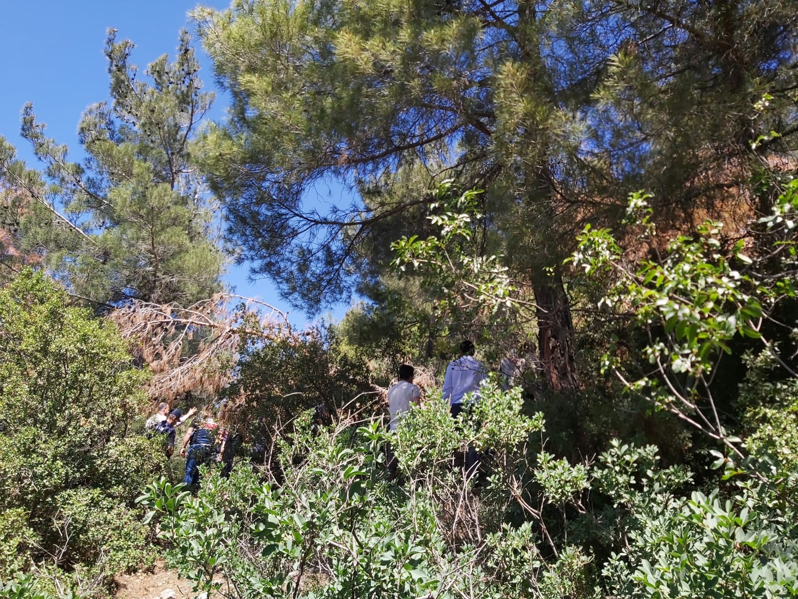 Bir aydır kayıptı, ağaçta asılı bulundu