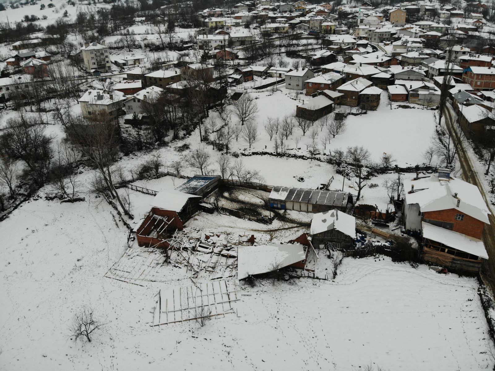 Ahırın çatısı kara dayanamadı, 50’ye yakın koyun telef oldu
