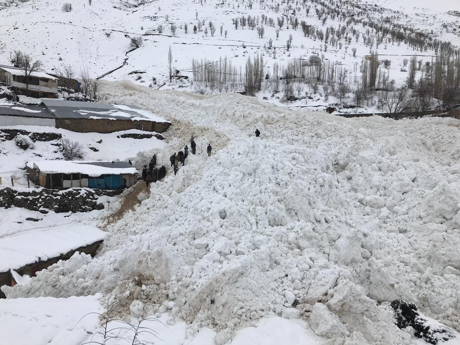 Ahırların üzerine çığ düştü: 46 hayvan telef oldu