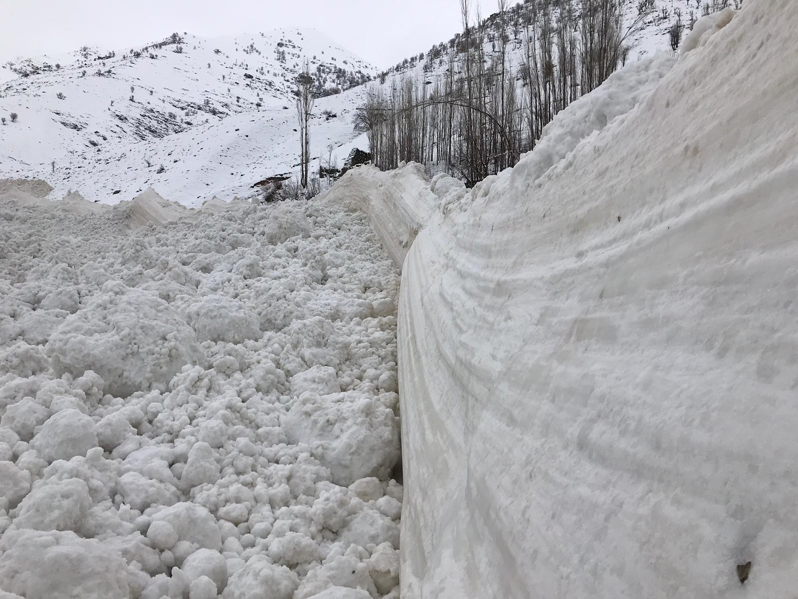 Ahırların üzerine çığ düştü: 46 hayvan telef oldu