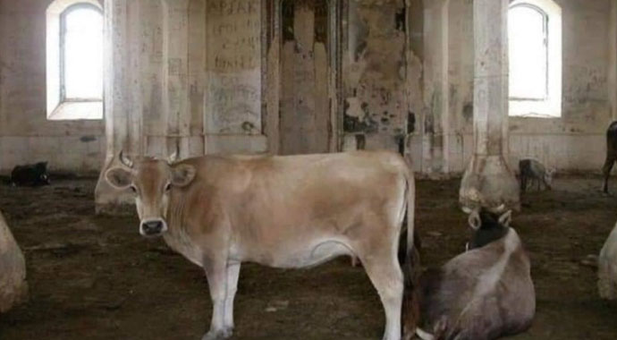 Ermenistan'dan büyük alçaklık! Tarihi camiyi domuz çiftliği yapmışlar