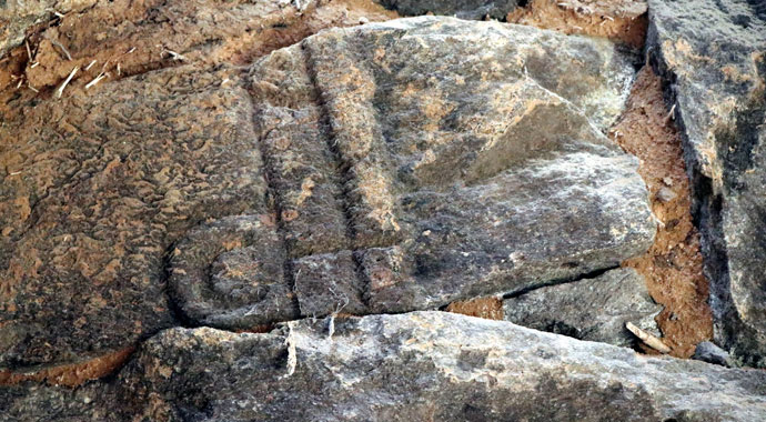 Ahırdan tarih fışkırdı