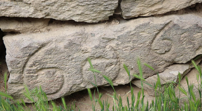 Ahırdan tarih fışkırdı