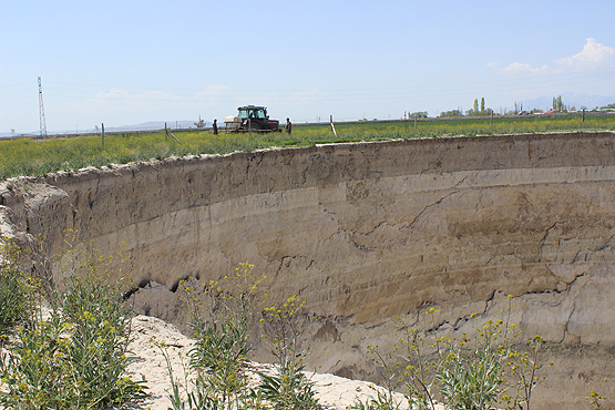 Obruk korkusu yüzünden tarlada çalıştıracak işçi bulamıyorlar