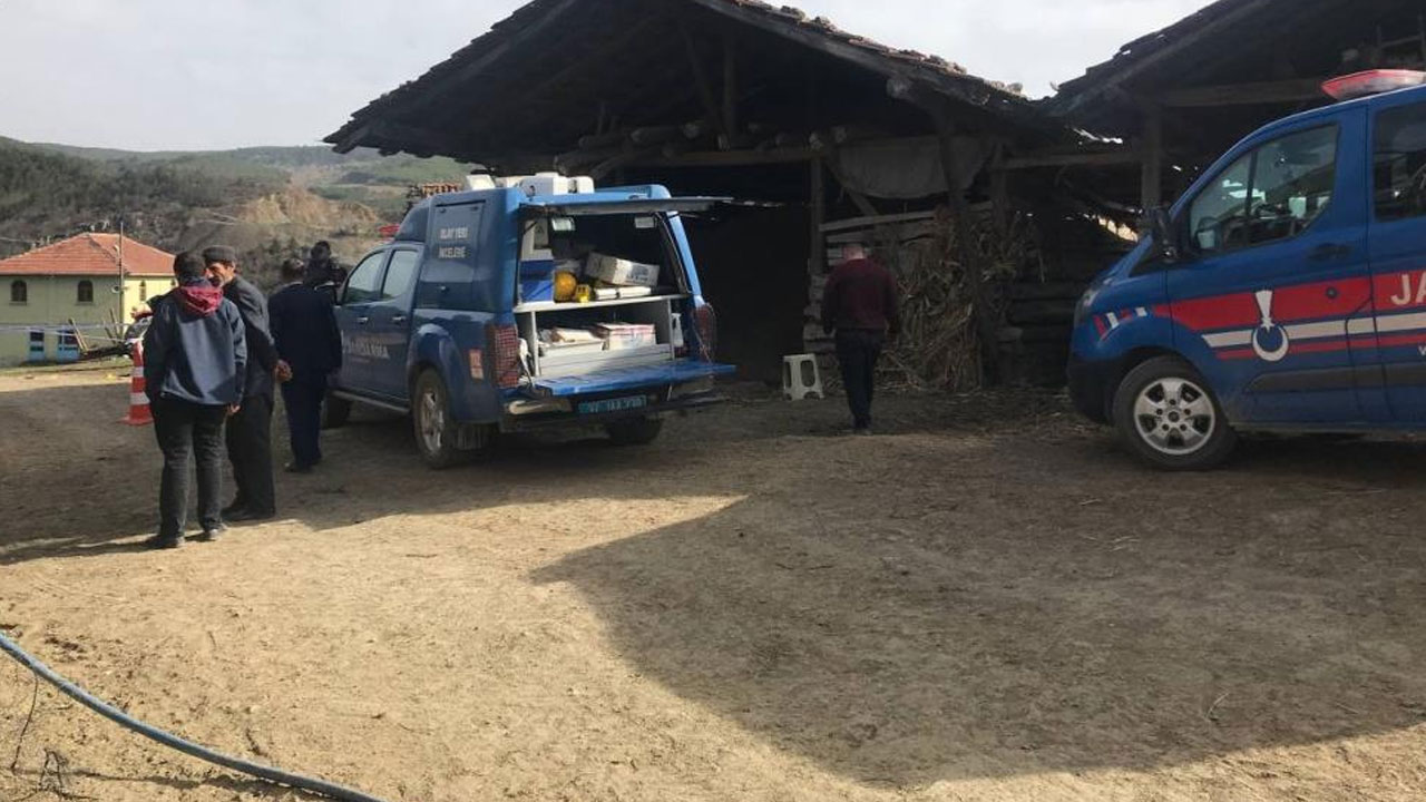 3 aile arasında kanlı hesaplaşma! Ölü ve yaralılar var