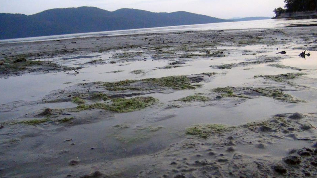 Akyaka’da ürküten görüntü deniz suyu 50 metre çekildi: Süper gelgitler başladı