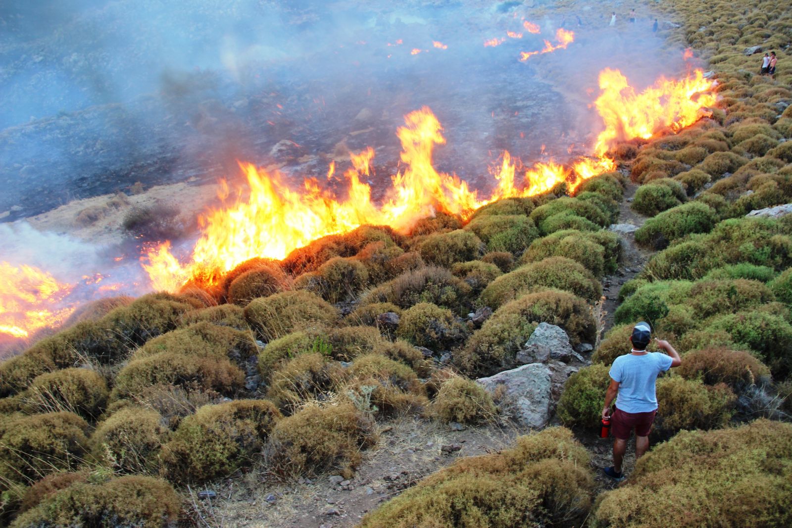 Alevler tatil sitelerine yaklaştı; tatilciler taşlarla yangını söndürmeye çalıştı