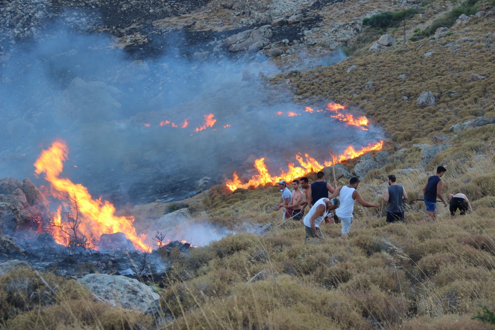 Alevler tatil sitelerine yaklaştı; tatilciler taşlarla yangını söndürmeye çalıştı