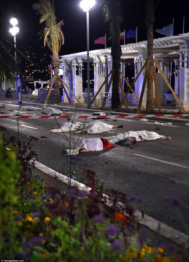 Fransa Başbakanı Valls: 'Terörle yaşamak zorundayız'