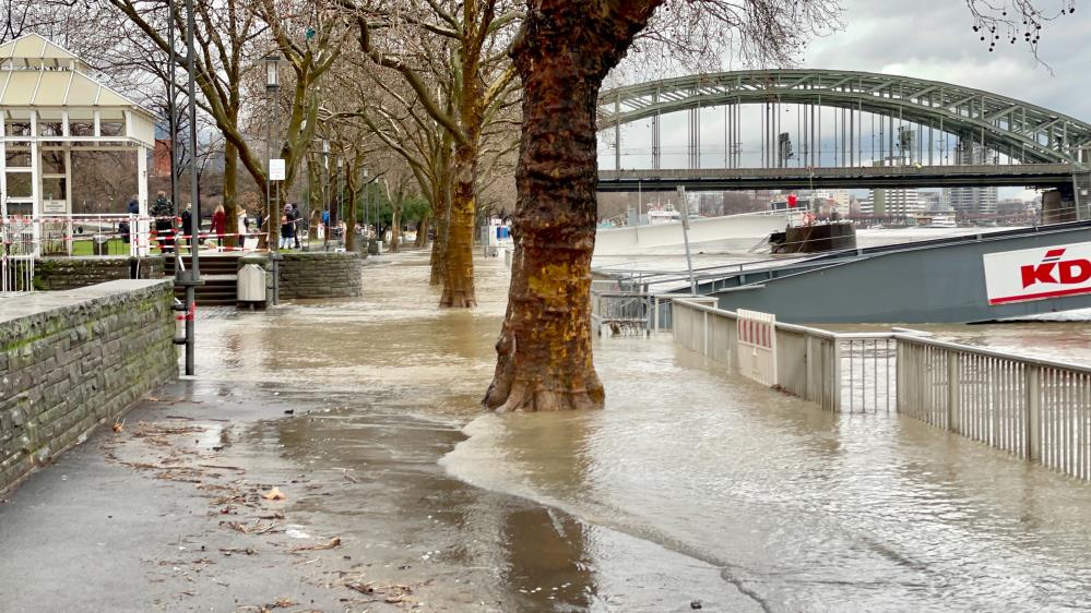 Almanyda'da Ren Nehri taştı
