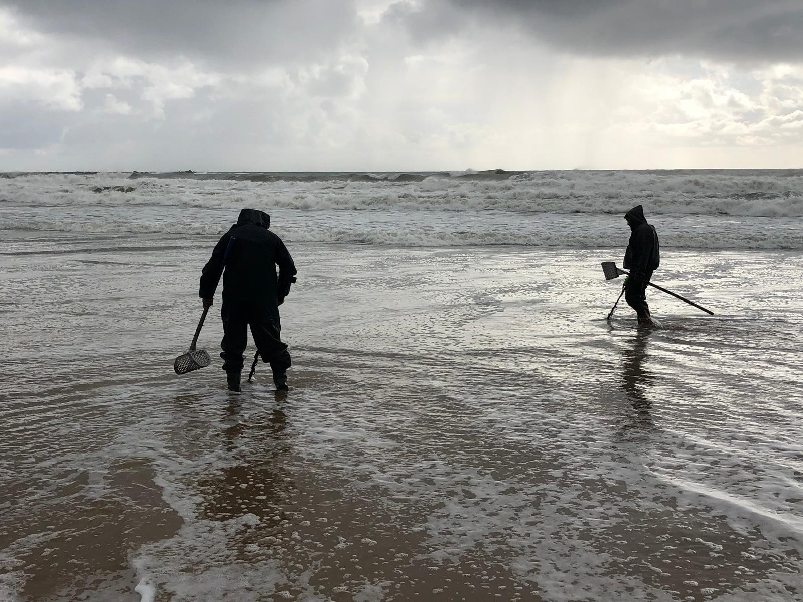 10 bin TL verdikleri dedektörlerle karış karış altın arıyorlar!