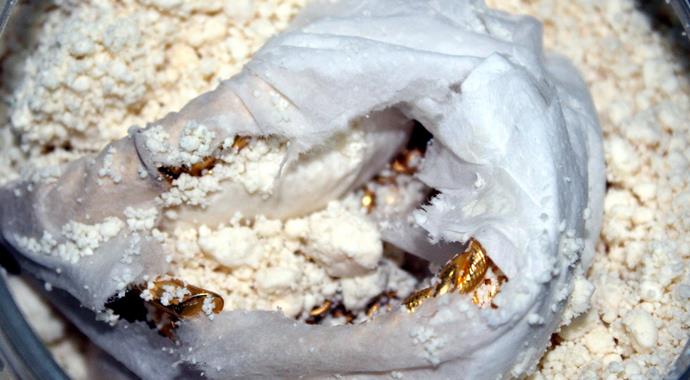 Altınları kadayıf dolmasına saklayanlara ceza yağdı