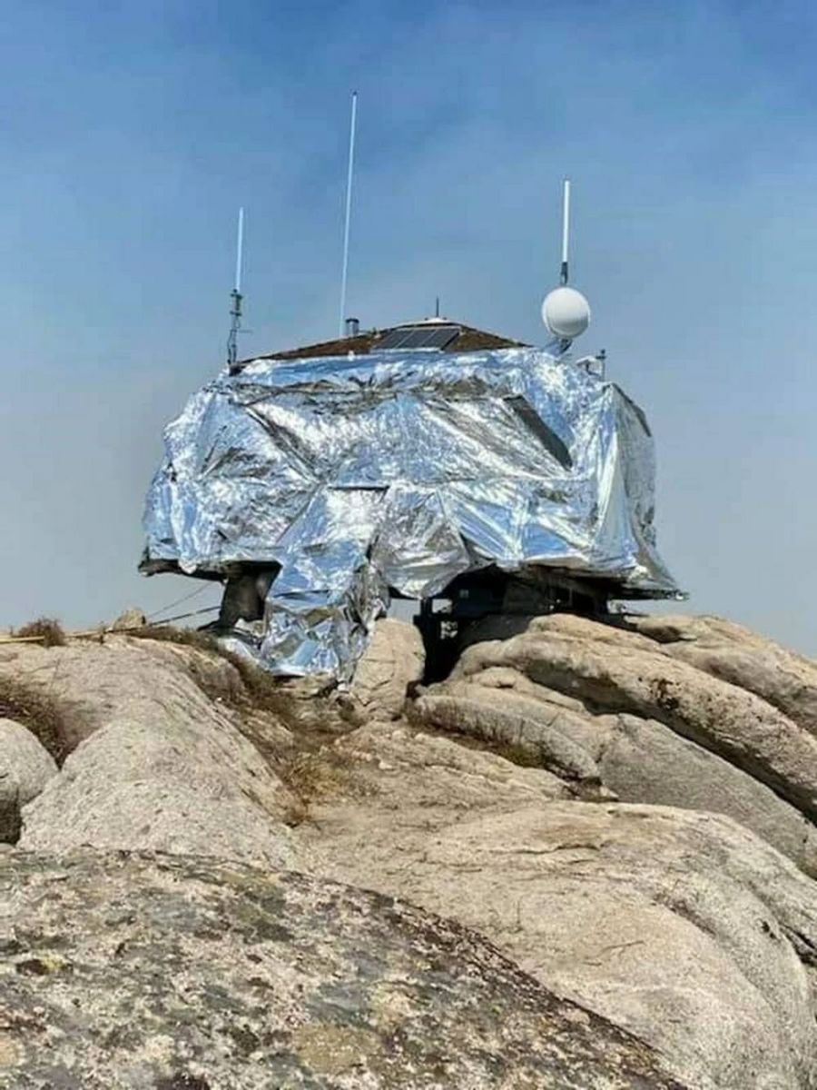 Orman yangınlarına karşı tarihi ağaçlara alüminyum folyo tedbiri