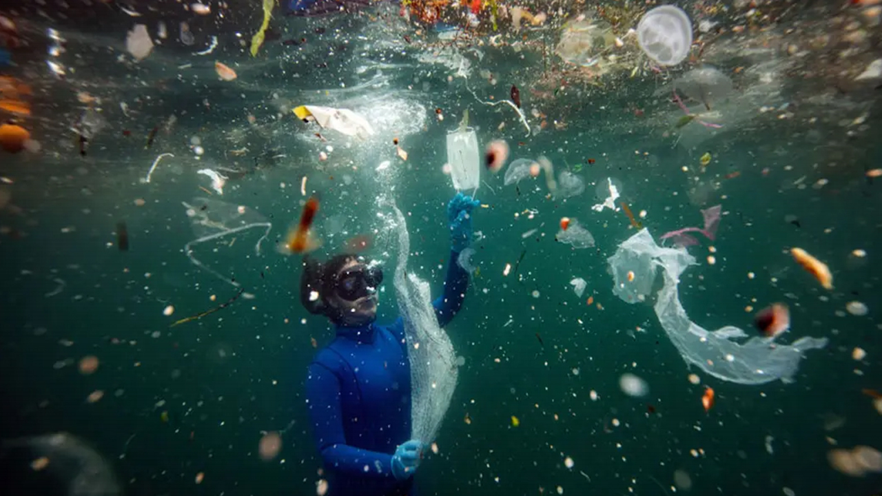 Antalya'da deniz anası yiyen caretta caretta çevreyi kirletenlere ders verdi - 2. Resim