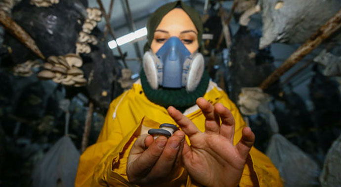 Tadını beğendi, üretici oldu! İki yıl içinde 100 bin lira gelir elde etti