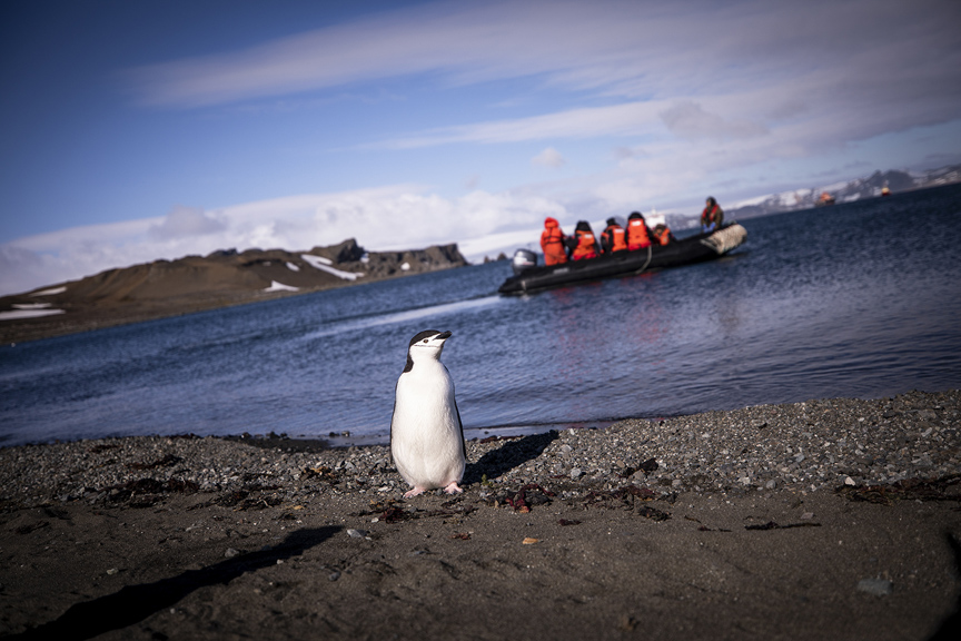 Türk ekibi Antarktika’ya ayak bastı