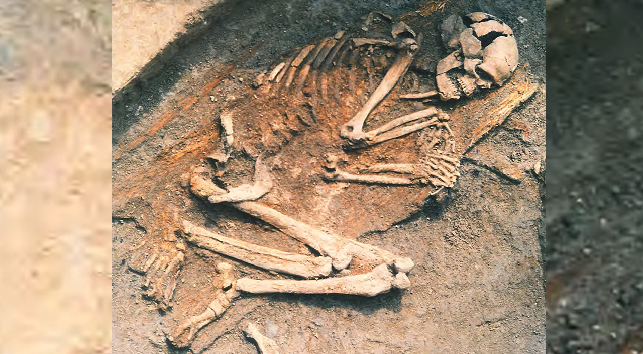 Bilim insanları Anadolu tarihini aydınlattı: İlk çiftçilerin nereden geldiği ortaya çıktı Bilim insanları Anadolu tarihini aydınlattı: İlk çiftçilerin nereden geldiği ortaya çıktı