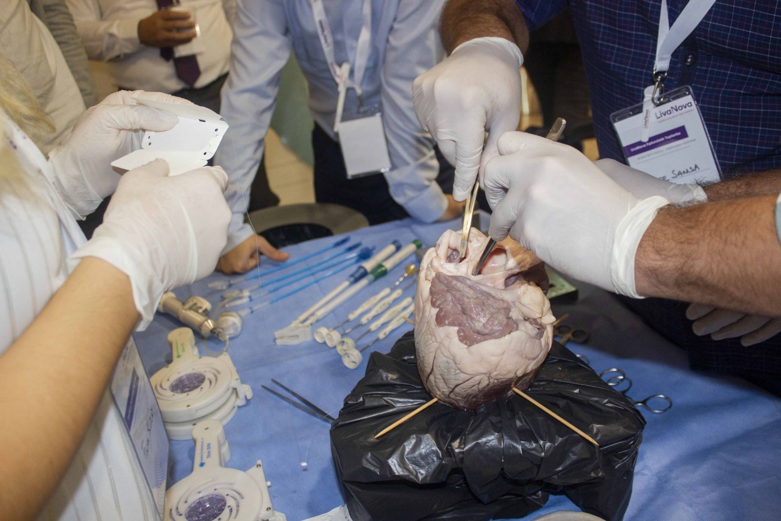 Sığır kalbi ile uygulamalı kalp kapağı operasyonu