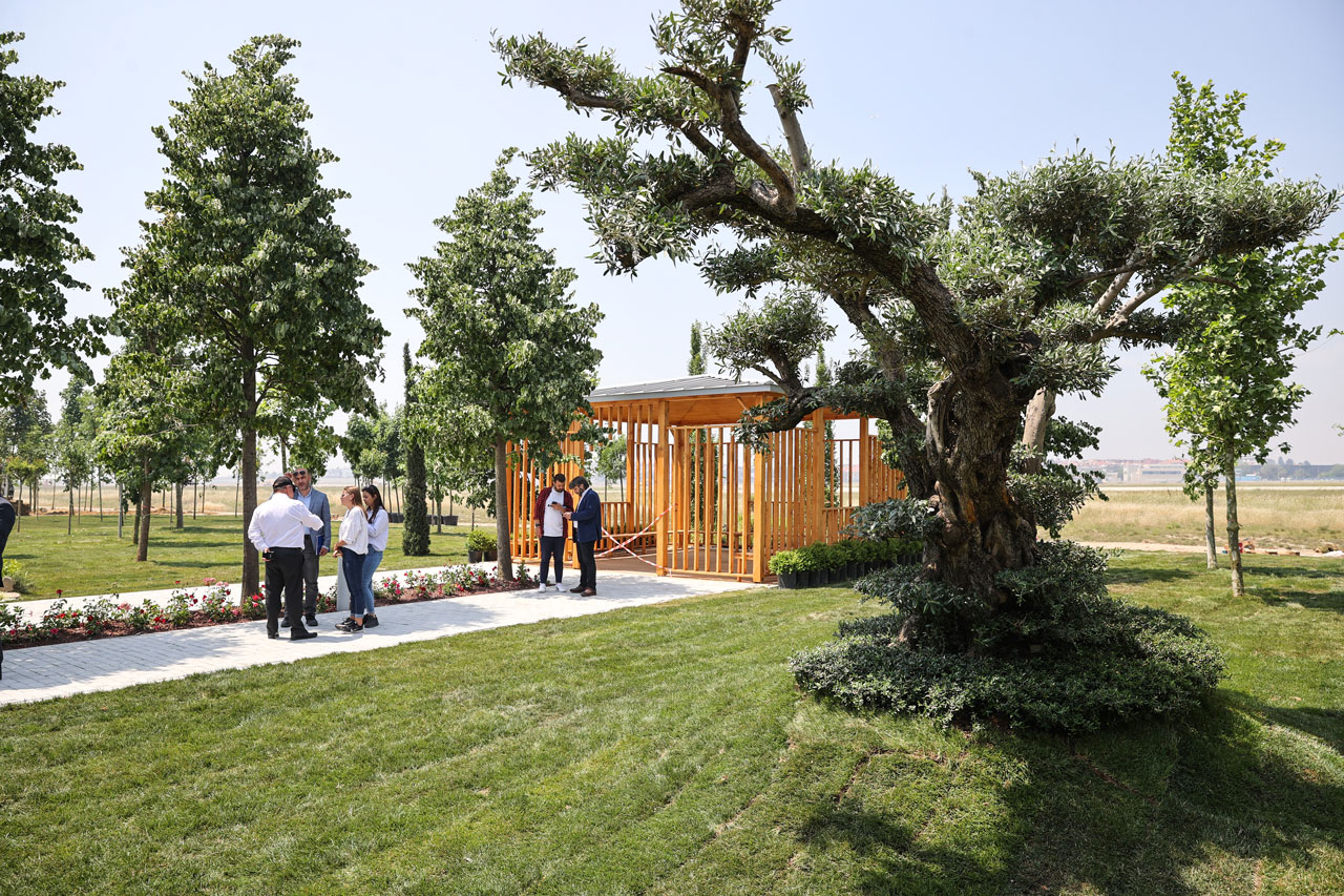 Atatürk Havalimanı 145 bin ağaçla yeşillenecek