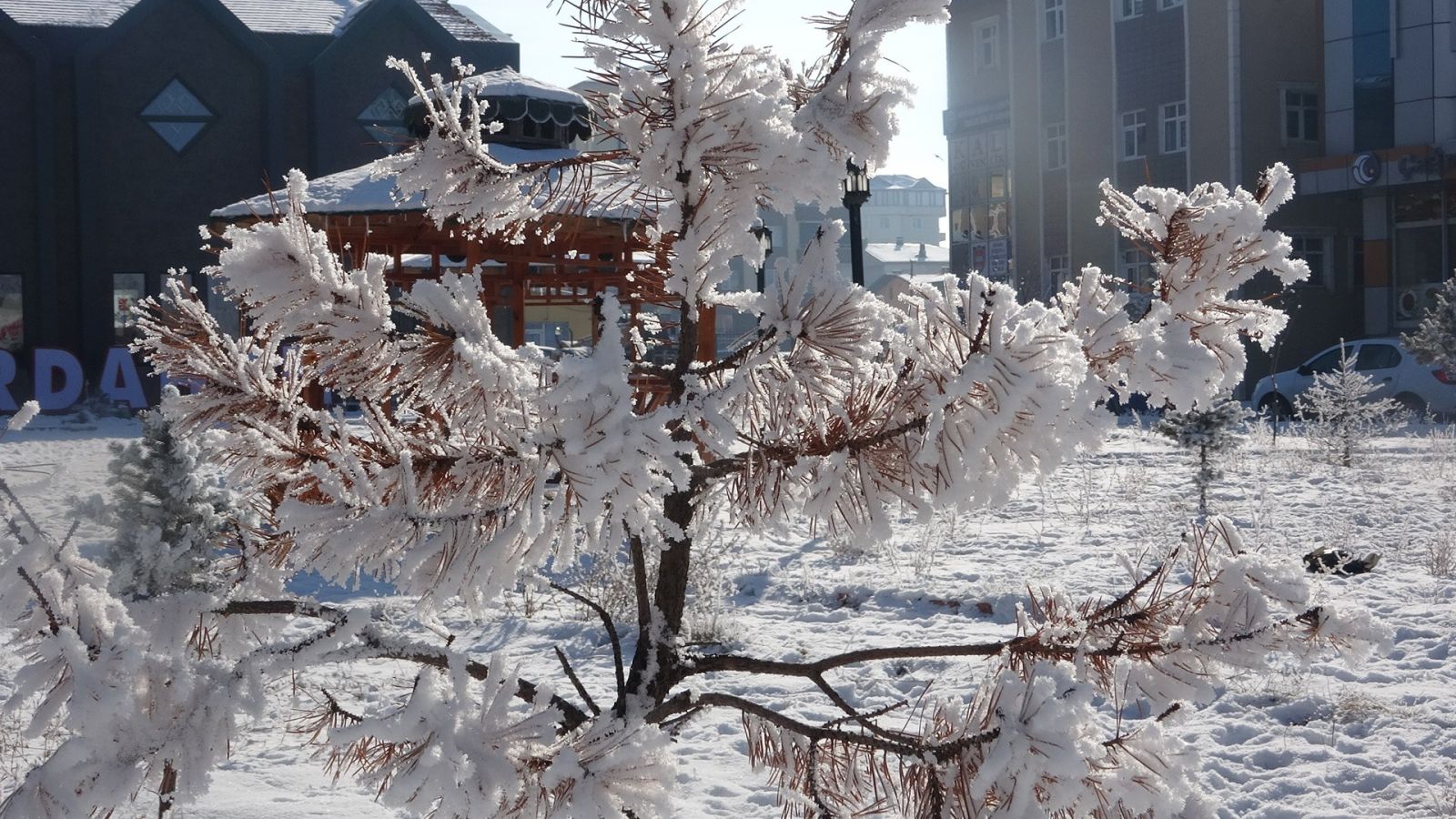 Burası Sibirya değil Ardahan! Bir şehir buz kesti