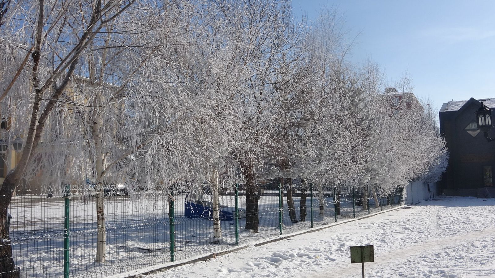 Burası Sibirya değil Ardahan! Bir şehir buz kesti