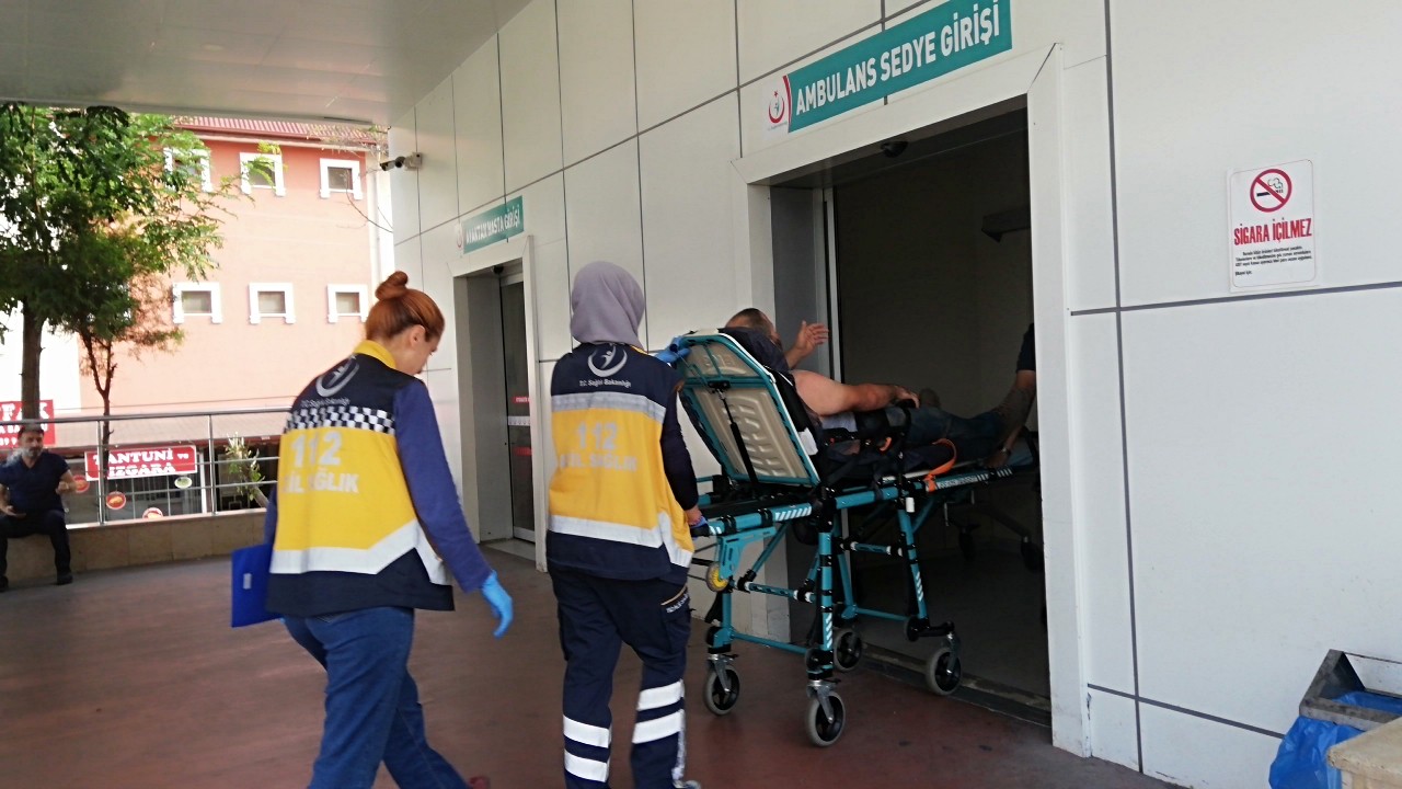 Domuz avına giden vatandaşı arılar hastanelik etti