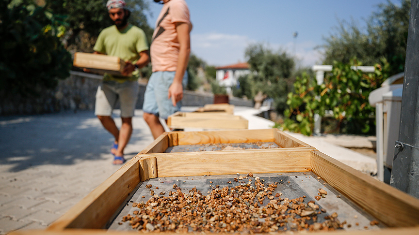 500 bin yıllık mağaradan 'cımbız'la tarih ayıklıyorlar
