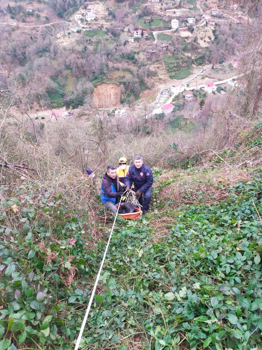 Artvin'de kamyonet uçuruma yuvarlandı, 2 kişi öldü