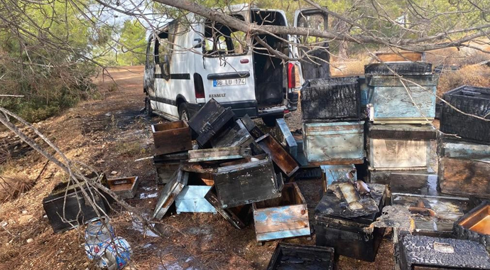 Kamyonet ve arı kovanları alev alev yandı