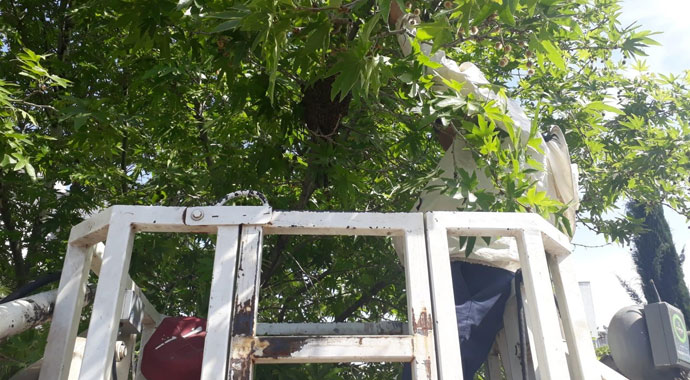 Firar eden arıları itfaiye sahibine teslim etti